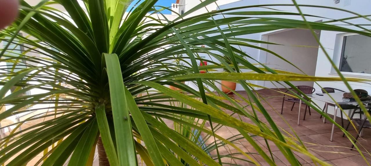 וילה נובה דה מילפונטס Apartamentos Naturalis מראה חיצוני תמונה